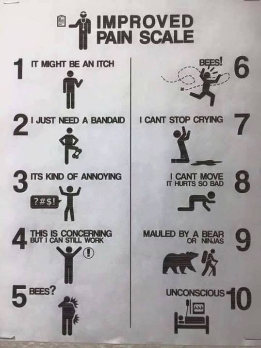 Alternate Pain Scale 1