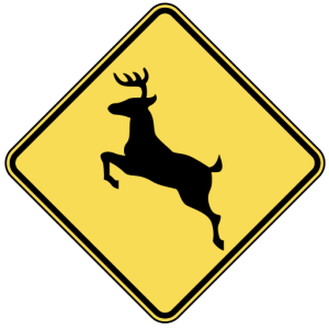 deer-crossing