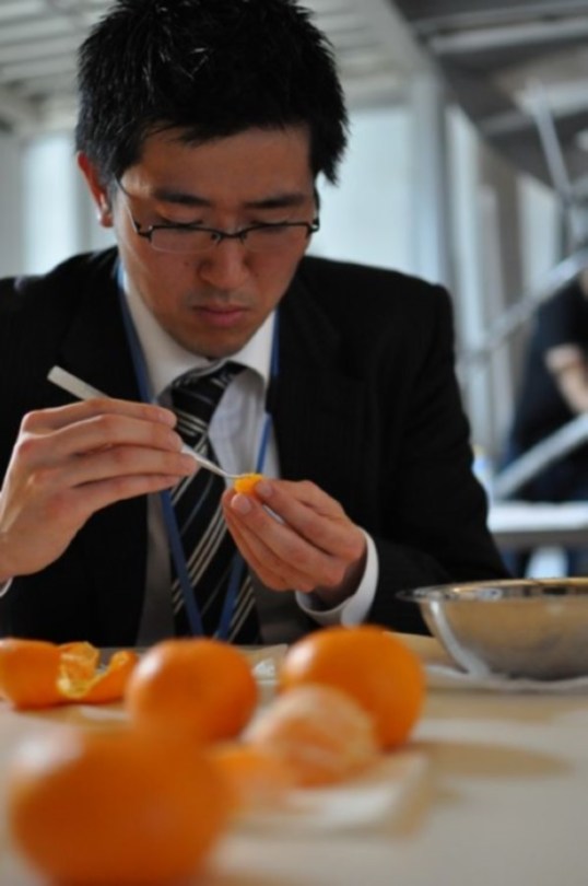 eine-obduzierte-orange-2