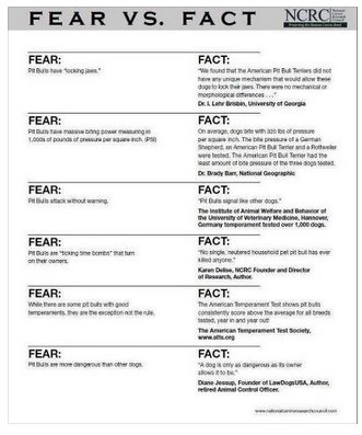 FearFact