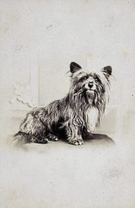 Greyfriars_Bobby