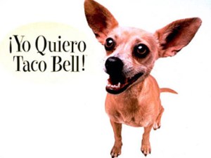 01commercial-animals-taco-bell1