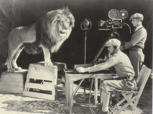 tumblr_lwy2blClU11qhspbko1_500