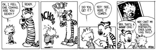 Calvin Sneeze