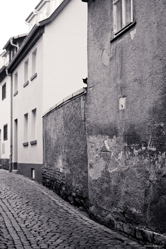 IMG_20130328_141900_6995_thumb