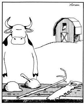 Cow Tools