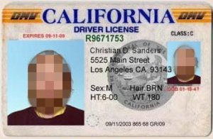 Sanders Driver License