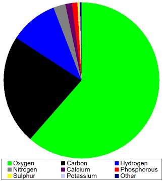 chem_comp_of_body_chart