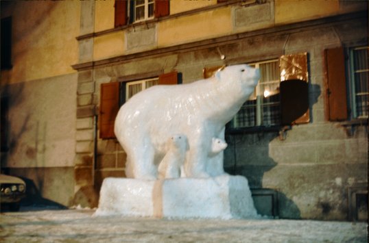 Romansch Area - Polar Bear