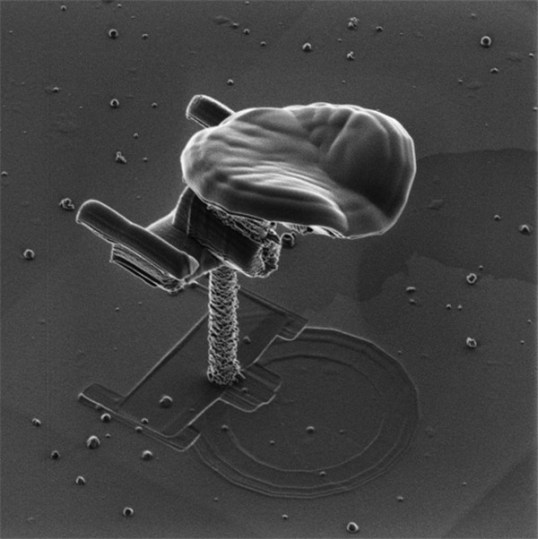 nano-trek-uss-enterprise-1-billionth-scale-model