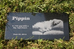 pippin-memorial_th