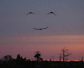 smileinthesky
