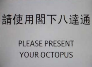 octopus