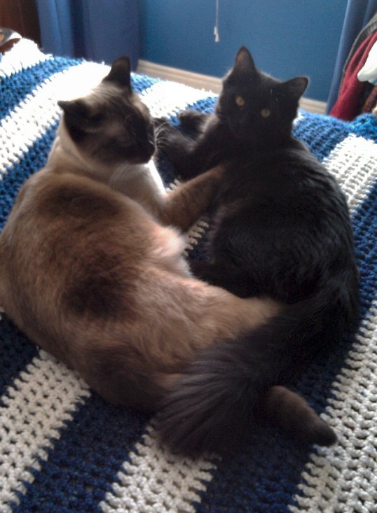 20120106 Sensei and Tessa